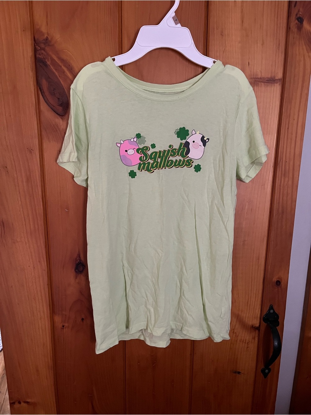 Squishmallows Light Green Graphic Tee with Pink Characters